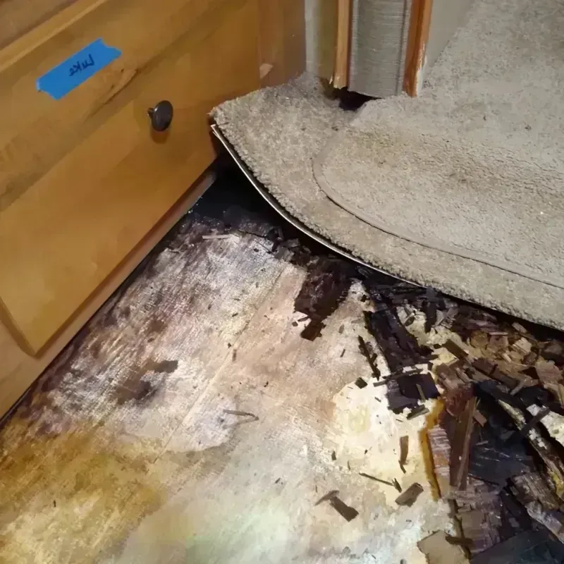 Wood Floor Water Damage in Buckeye, AZ